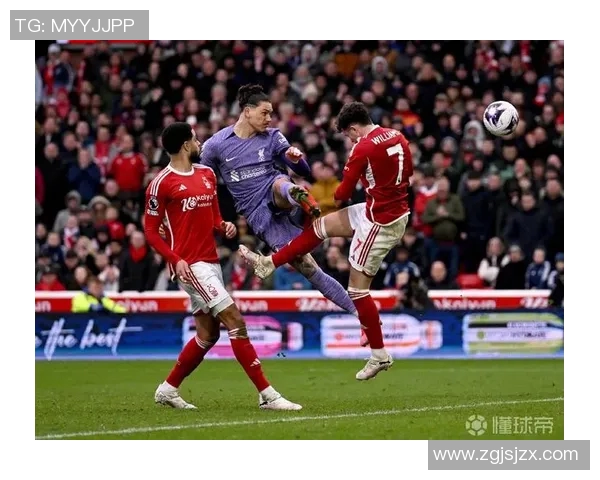 外国球迷热情追随足球巨星精彩瞬间视频集锦