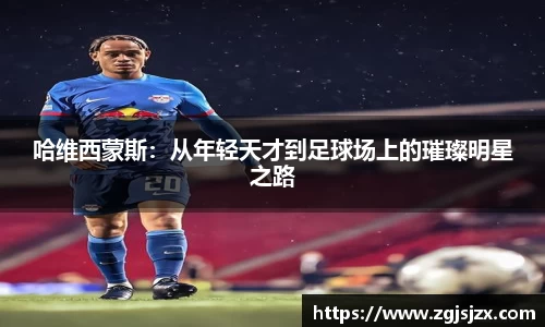 皇冠hg58体育官网